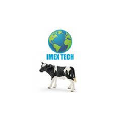 logo_imex